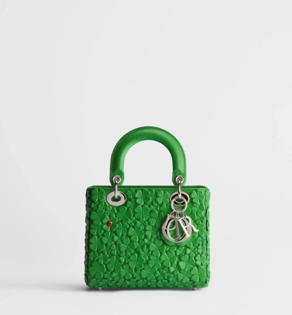 Small Lady Dior Bag with Strap